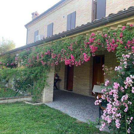 Guest House Vagamondo Fano Εξωτερικό φωτογραφία