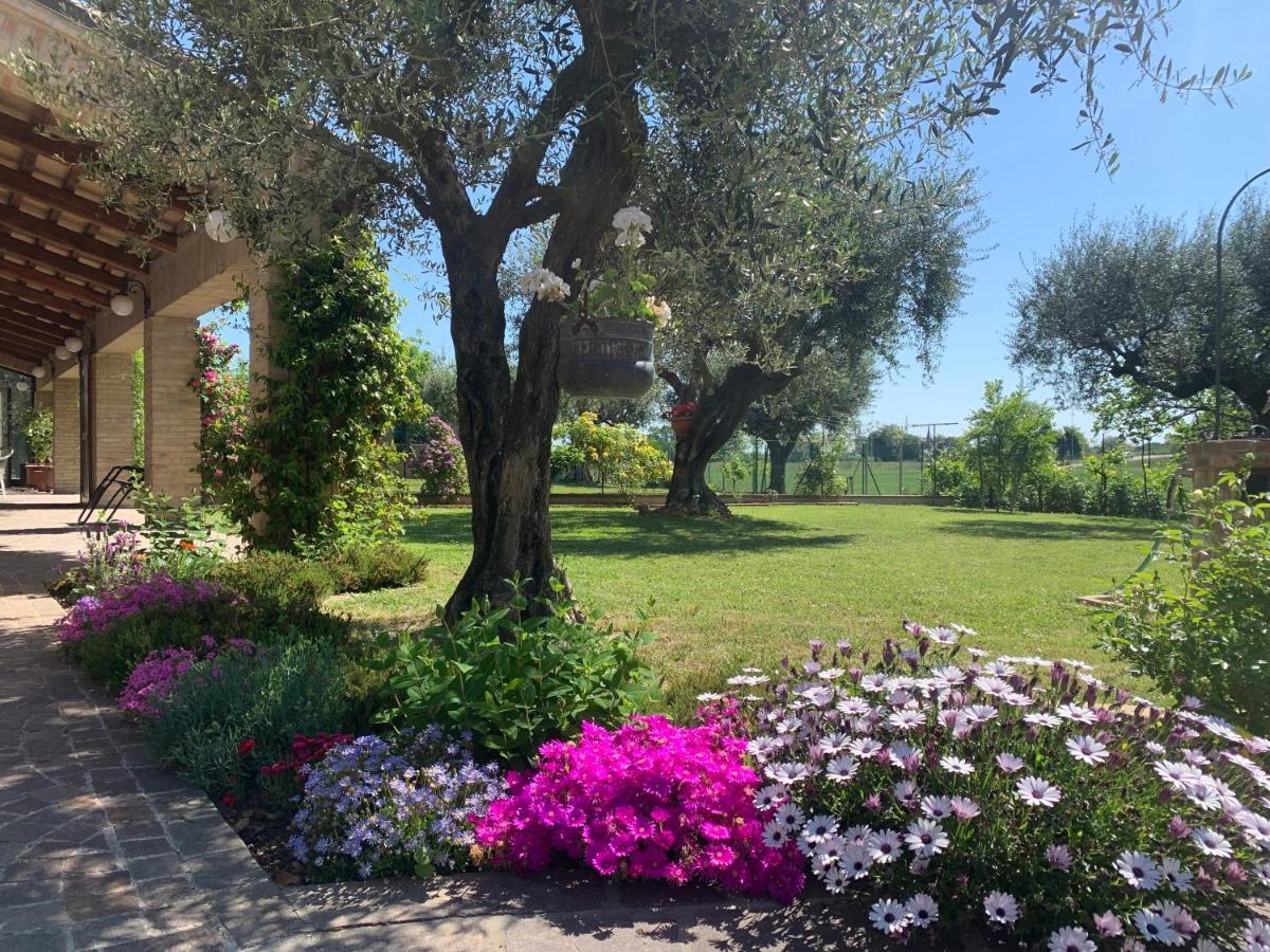Guest House Vagamondo Fano Εξωτερικό φωτογραφία