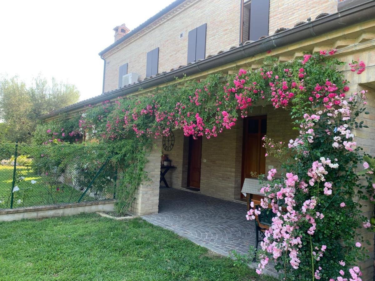 Guest House Vagamondo Fano Εξωτερικό φωτογραφία